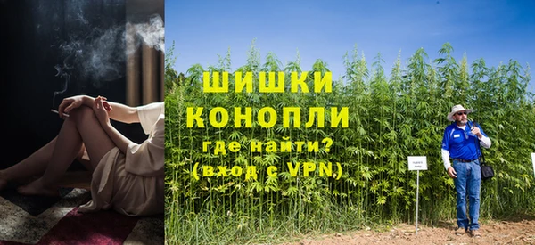spice Лиски