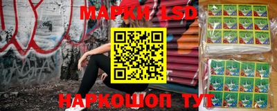 эйфоретик Аргун