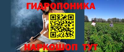 эйфоретик Аргун