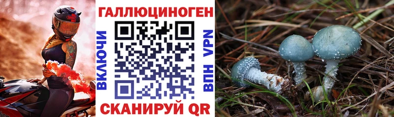 Псилоцибиновые грибы GOLDEN TEACHER Екатеринбург