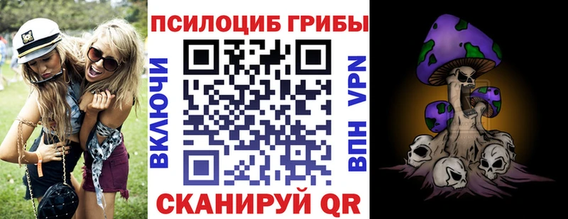 kraken маркетплейс  darknet официальный сайт  Галлюциногенные грибы GOLDEN TEACHER  наркошоп  Екатеринбург 