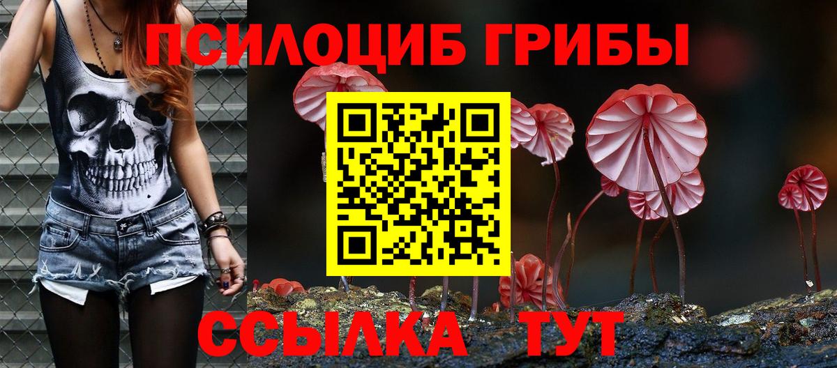 Псилоцибиновые грибы Psilocybe Екатеринбург